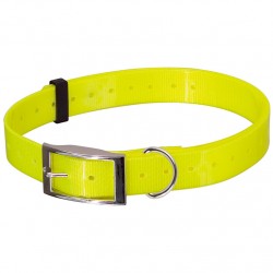 Collier Chien Fluo - Livraison gratuite sur Nouméa et Grand Nouméa