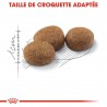 Croquettes pour Chats stérilisés Royal Canin sterilised 37 chez Croqadom