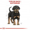 Royal Canin - Rottweiller Junior 12kg (dog)