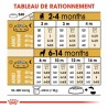 Royal Canin - Rottweiller Junior 12kg (dog)