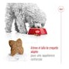 Royal Canin - Mini Adult 2-4-8kg (dog)