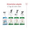 Royal Canin - Mini Adult 2-4-8kg (dog)