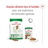 Royal Canin - Mini Adult 2-4-8kg (dog)