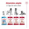 Royal Canin - Medium Adulte 4-15kg (dog)
