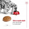 Medium adulte 7+