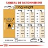Medium adulte