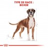 Royal Canin - Boxer Adulte 12kg (dog)