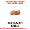 Royal Canin - Boxer Adulte 12kg (dog)