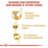 Royal Canin - Boxer Adulte 12kg (dog)