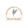 MILLET BLANC