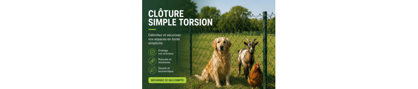 SIMPLE TORSION