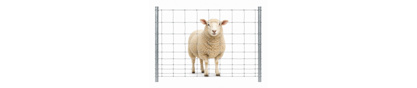 Grillage à moutons